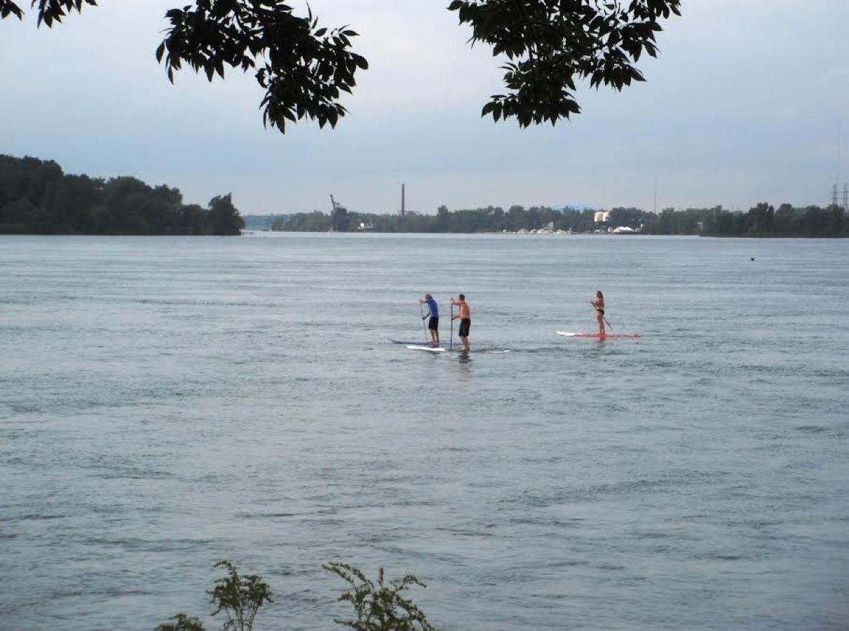 surf sup-lessons-ontario-canada33